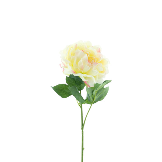PEONY DEWI SPRAY 56 CM