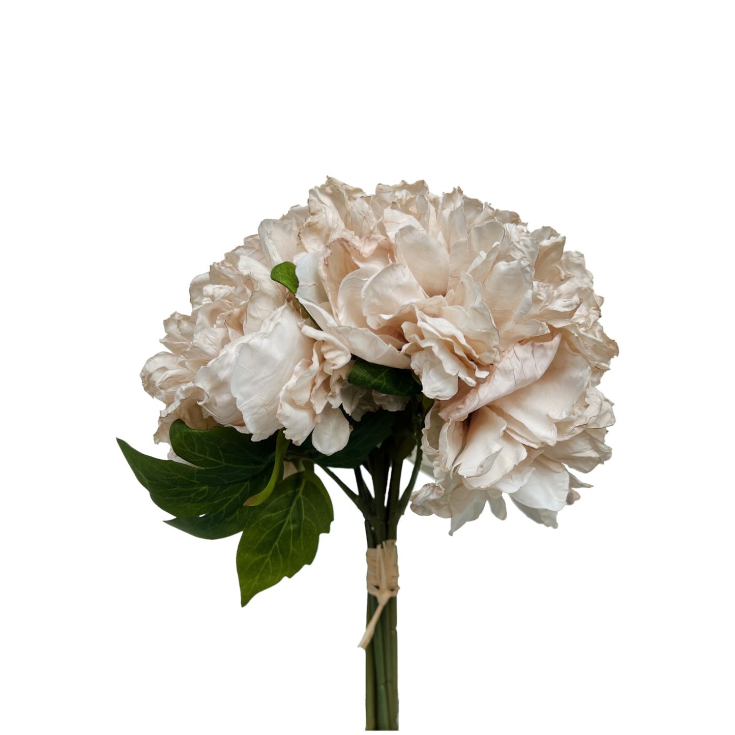 PEONY HYDRANGEA BUNDLE 3 DRY WHITE