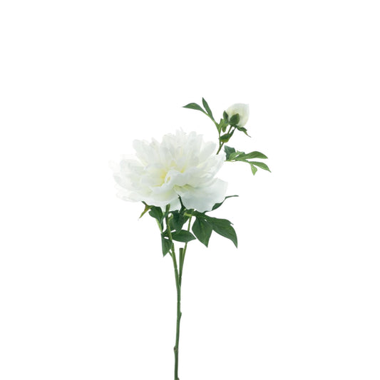 PEONY ARCHES 65 CM
