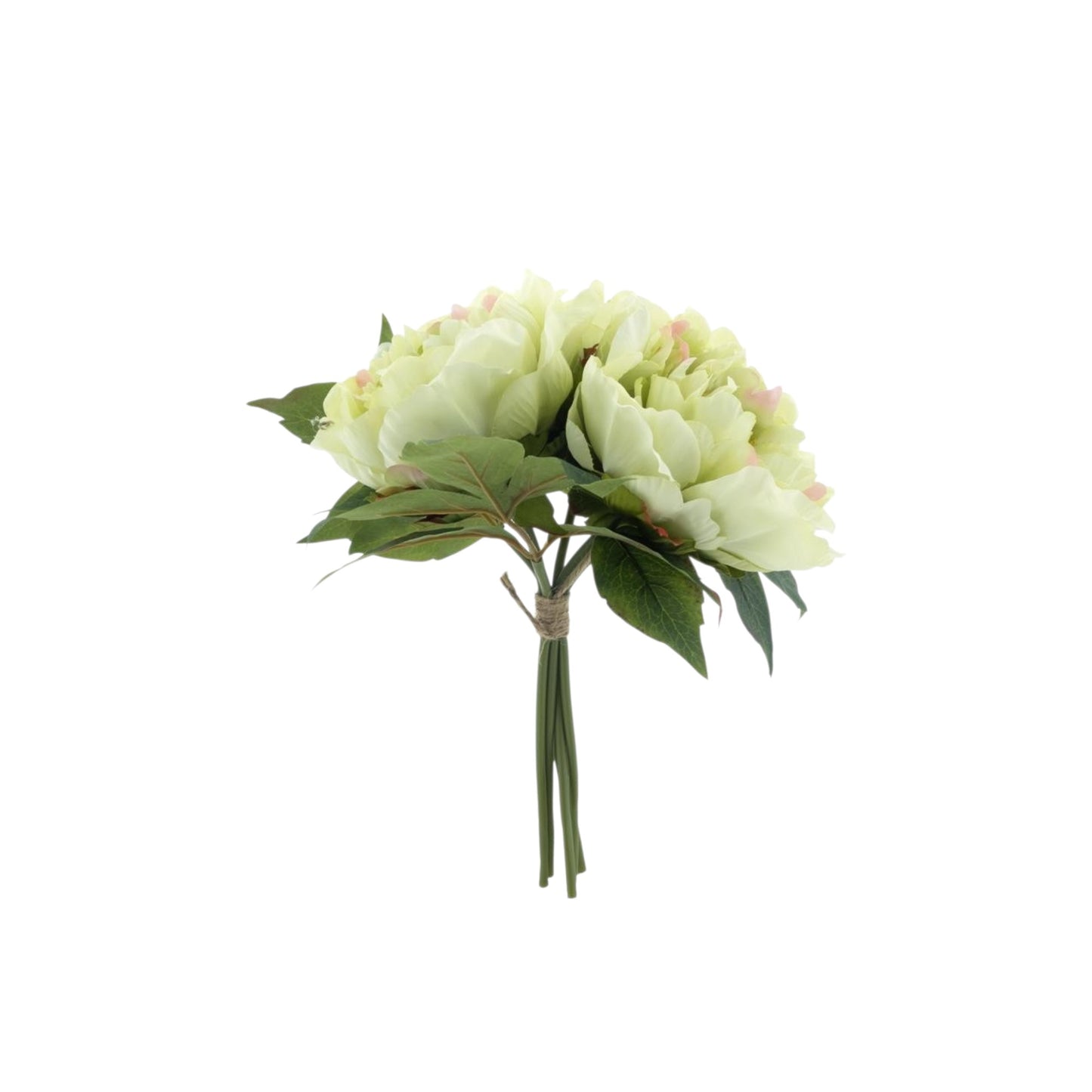PEONY BUNDLES