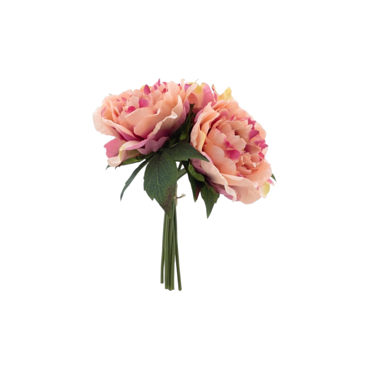 PEONY BUNDLES