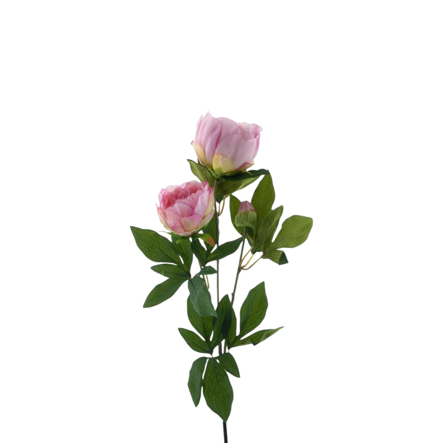 PEONY CHIBA SPRAY 65 CM