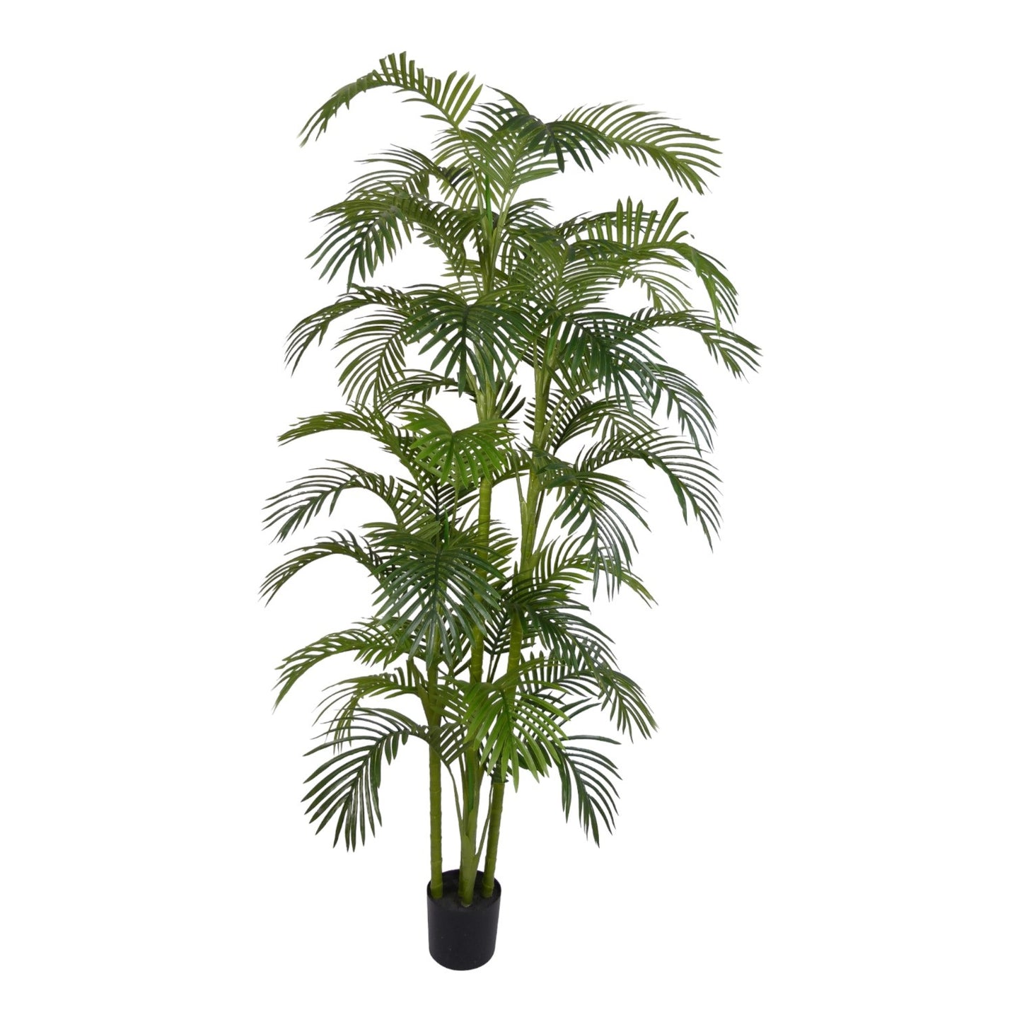 PLANT MINI PALM WITH PP TRUNK 210 CM