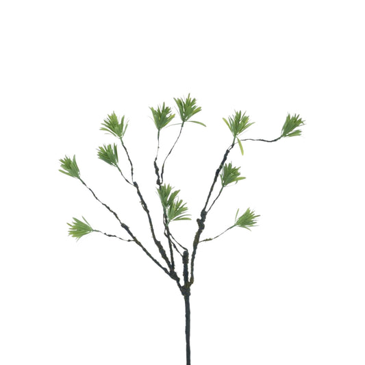 PODOCARPUS SPRAY GREEN 60 CM