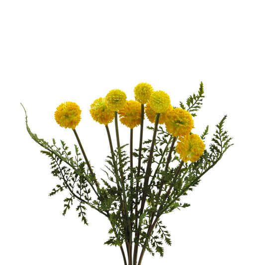 POM POM BUSH FERN YELLOW