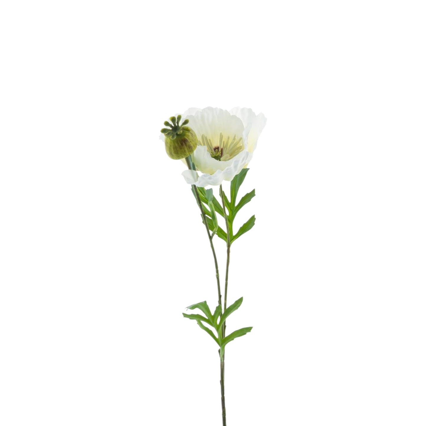 POPPY SPRAY NEW WAVE 82 CM