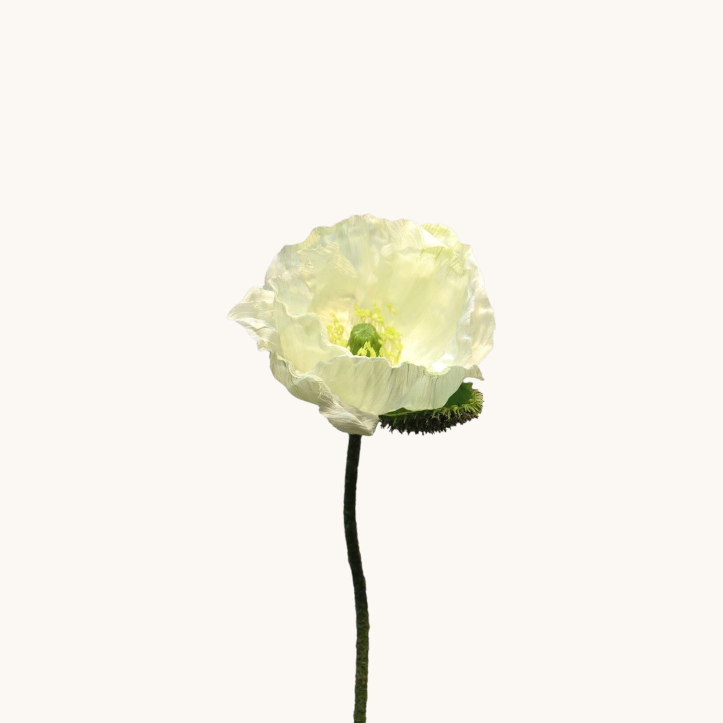 POPPY FLOWER 70 CM