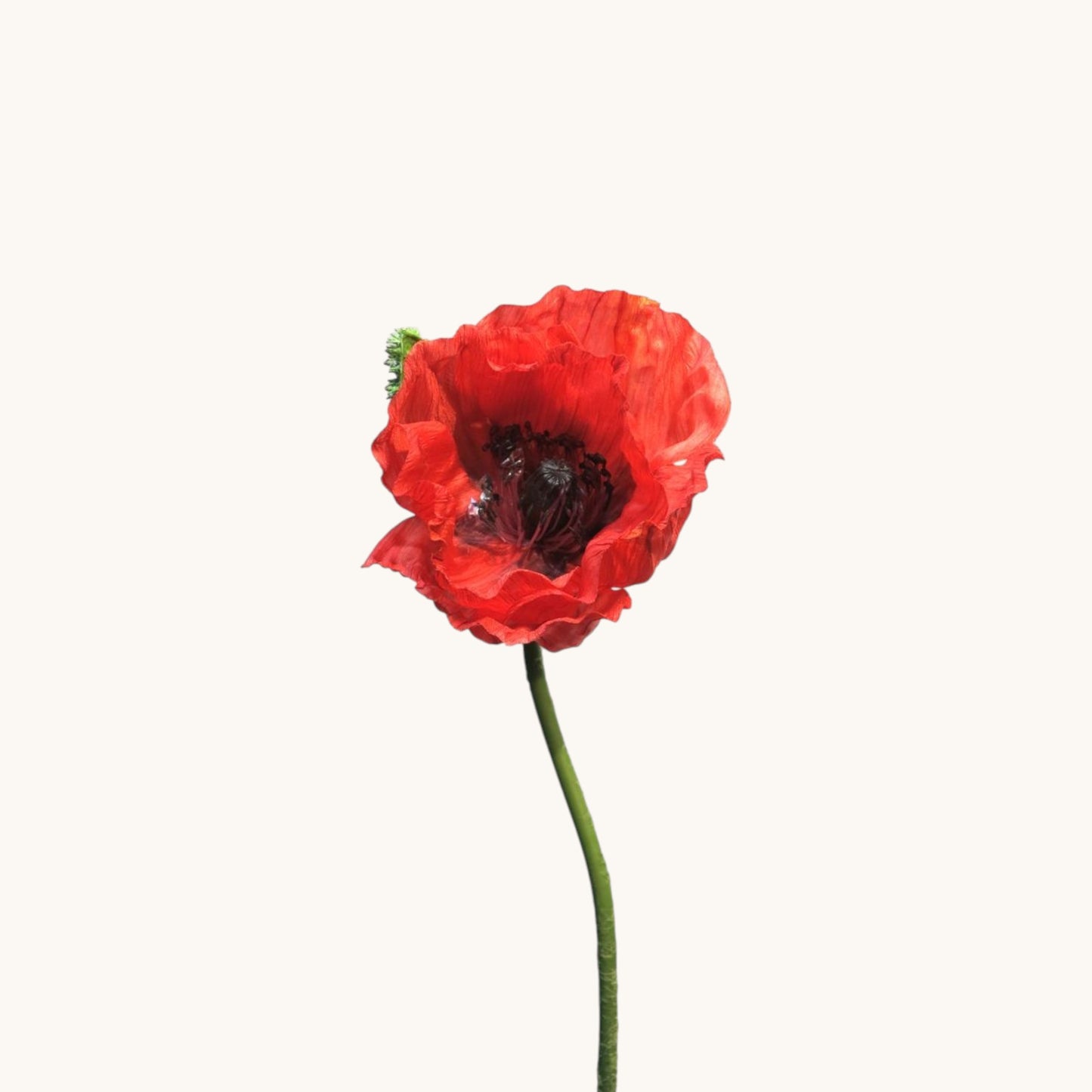 POPPY FLOWER 70 CM