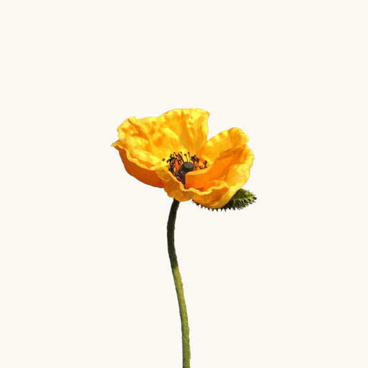 POPPY FLOWER 70 CM