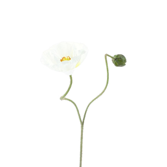 POPPY SPRAY ILSE 81 CM