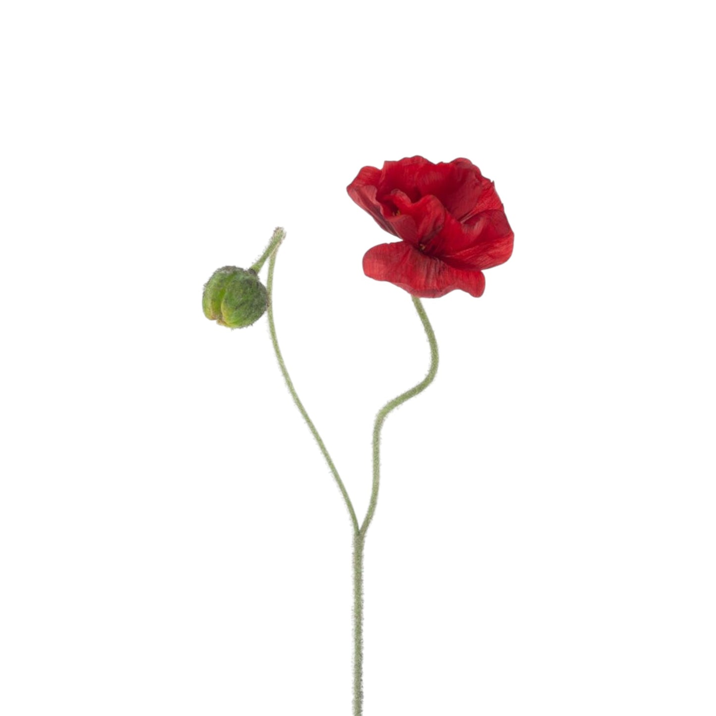 POPPY SPRAY ILSE 81 CM