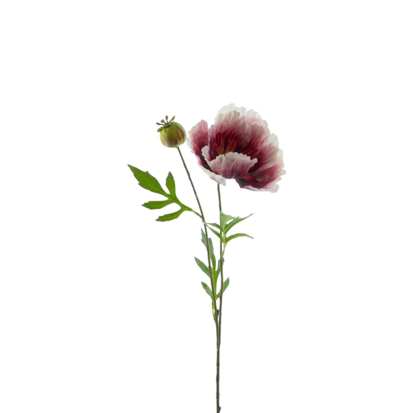 POPPY SPRAY NEW WAVE 82 CM
