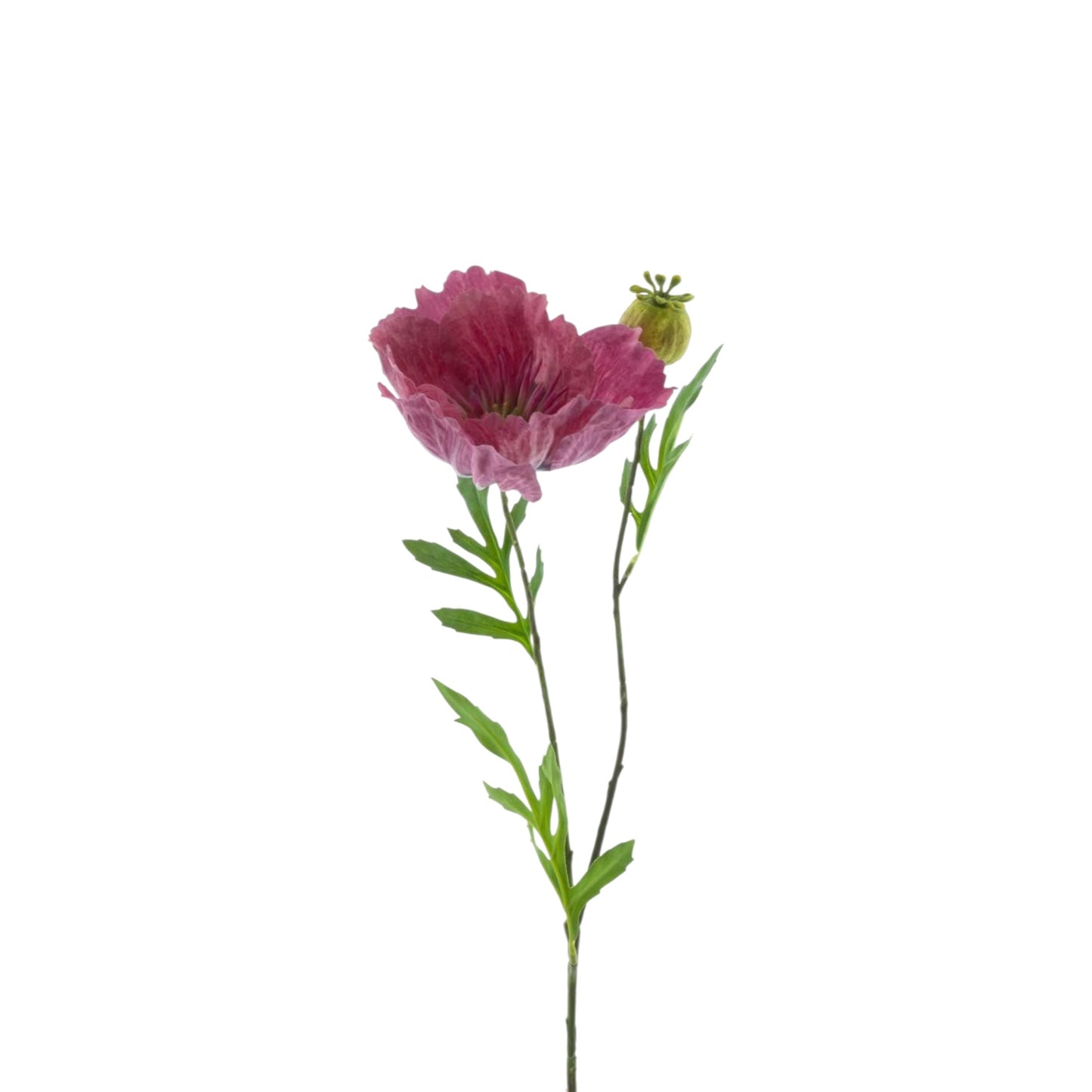 POPPY SPRAY NEW WAVE 82 CM