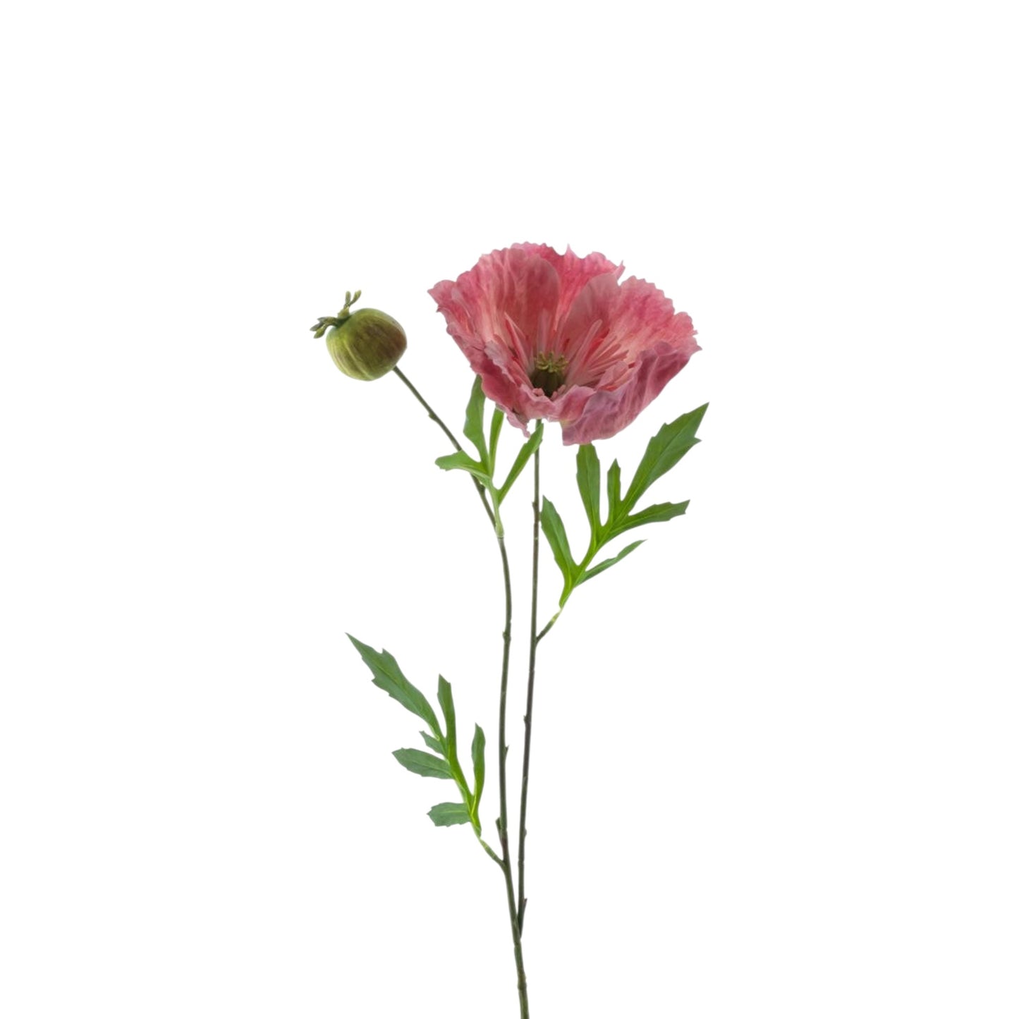 POPPY SPRAY NEW WAVE 82 CM