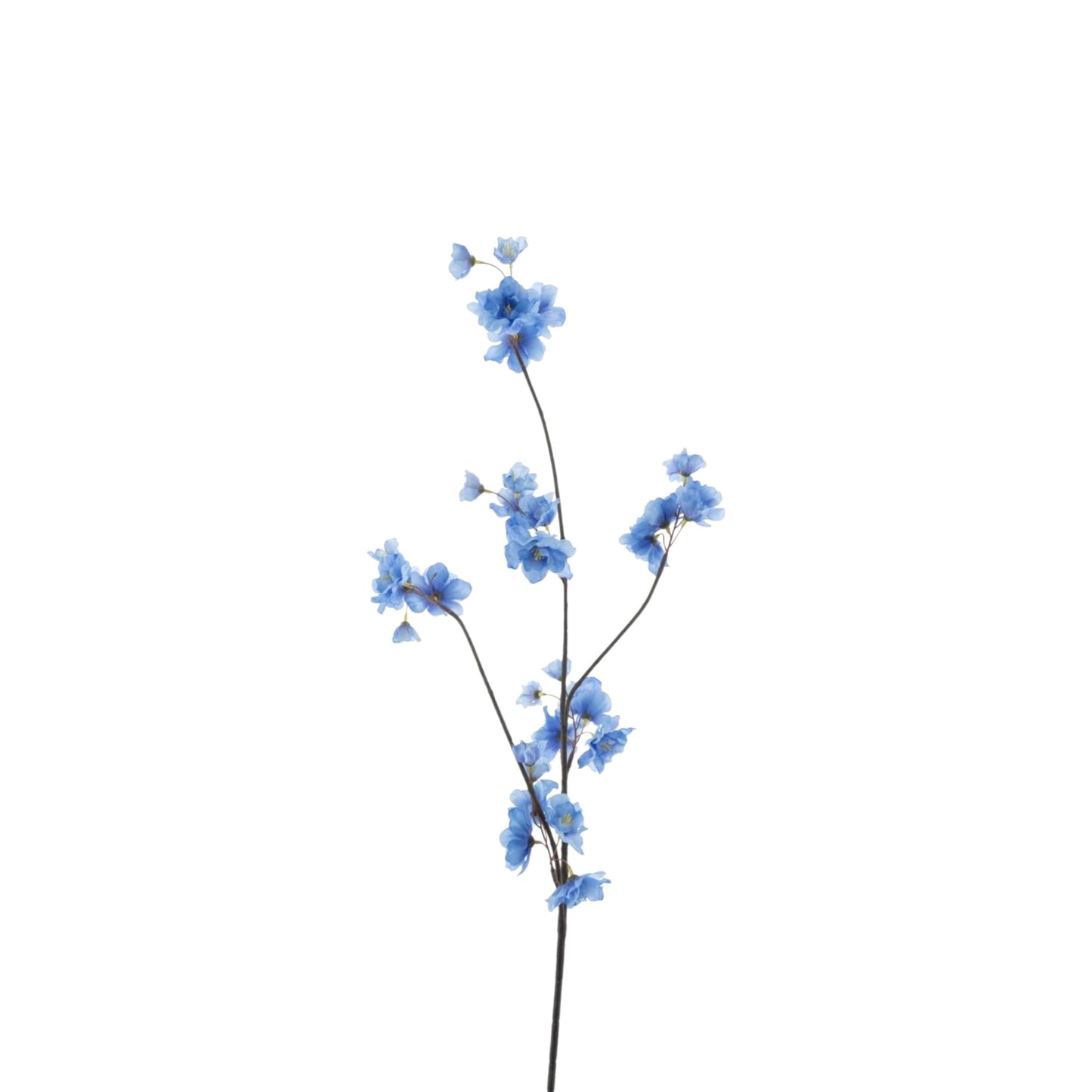 PRUNUS MALAGA SPRAY