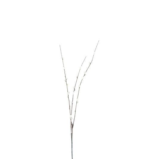 PUSSY WILLOW SPRAY CREAM
