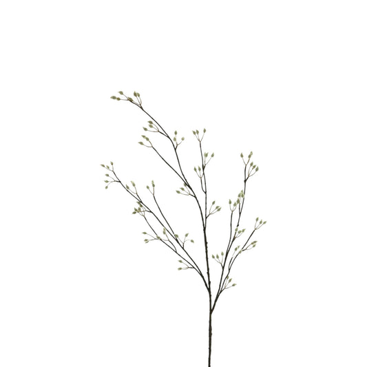 PUSSY WILLOW SPRAY CREAM 120 CM