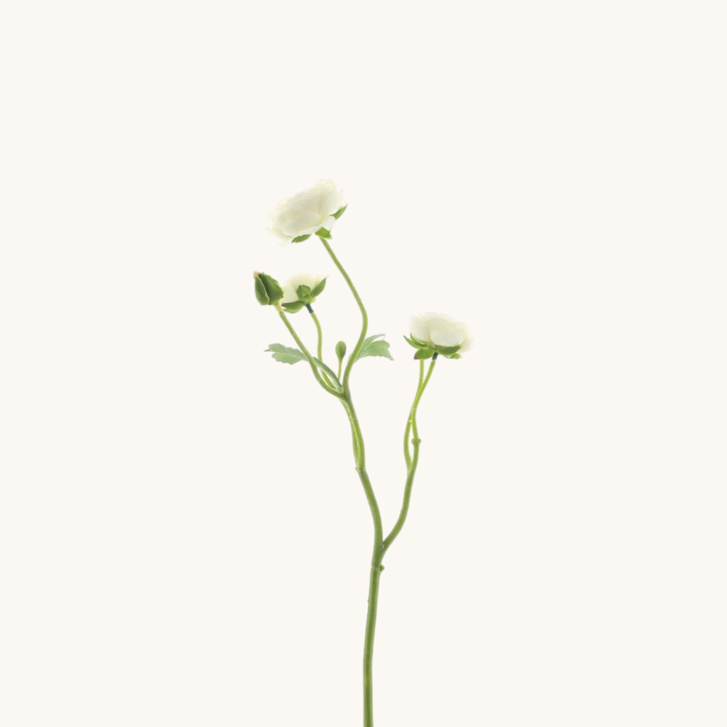 RANUNCULUS FLOWER 48 CM