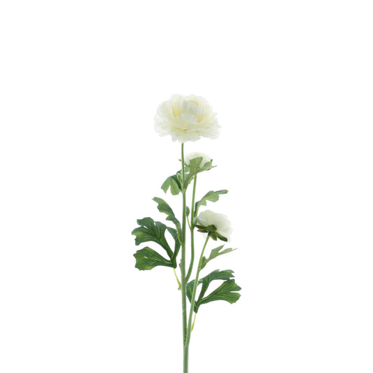 RANUNCULUS SPRAY NEW ORLEANS