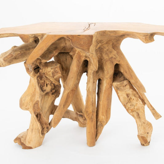 ROOT CONSOLE
