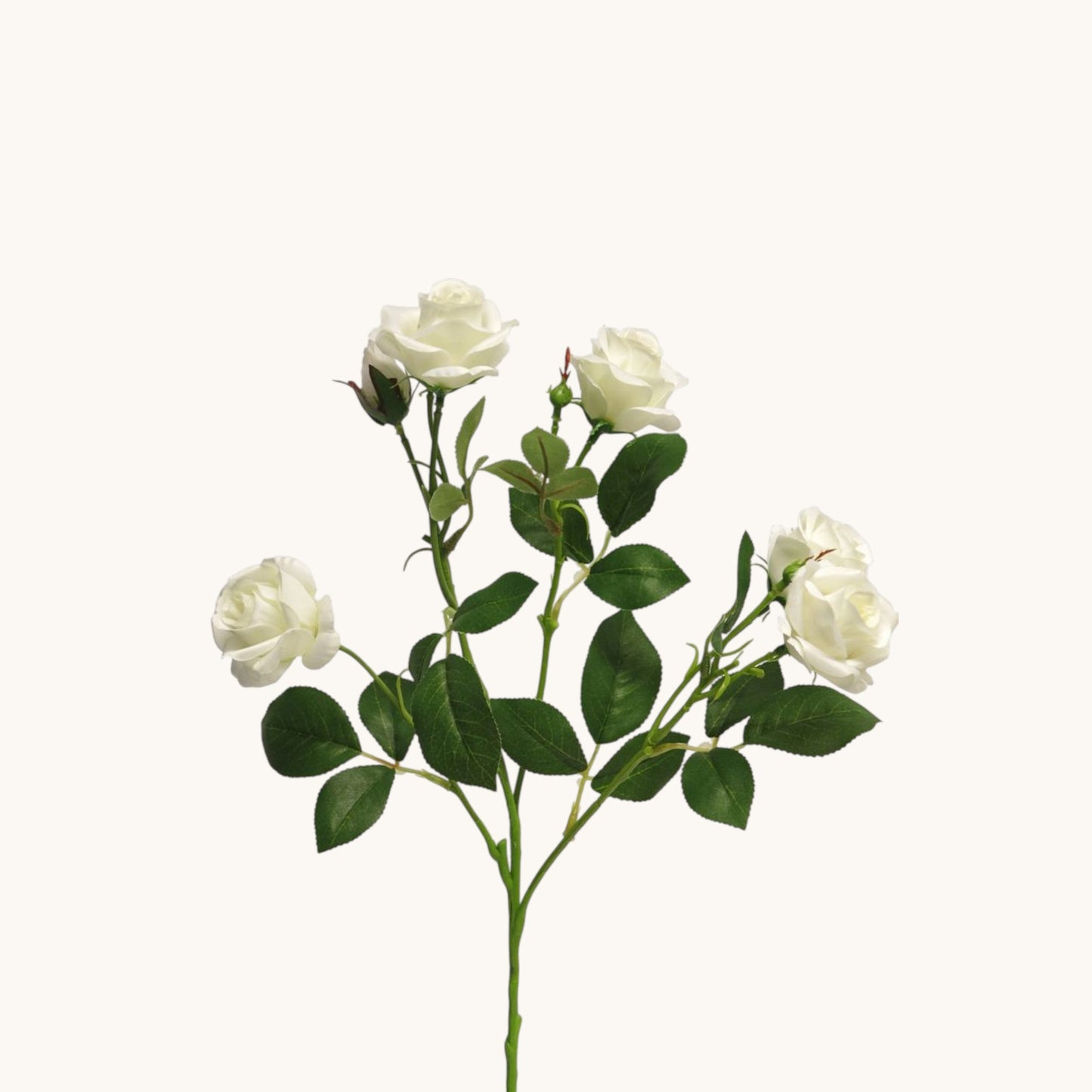 ROSA JACKY BUNCH 68 CM