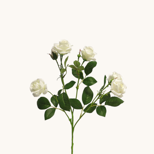 ROSA JACKY BUNCH 68 CM
