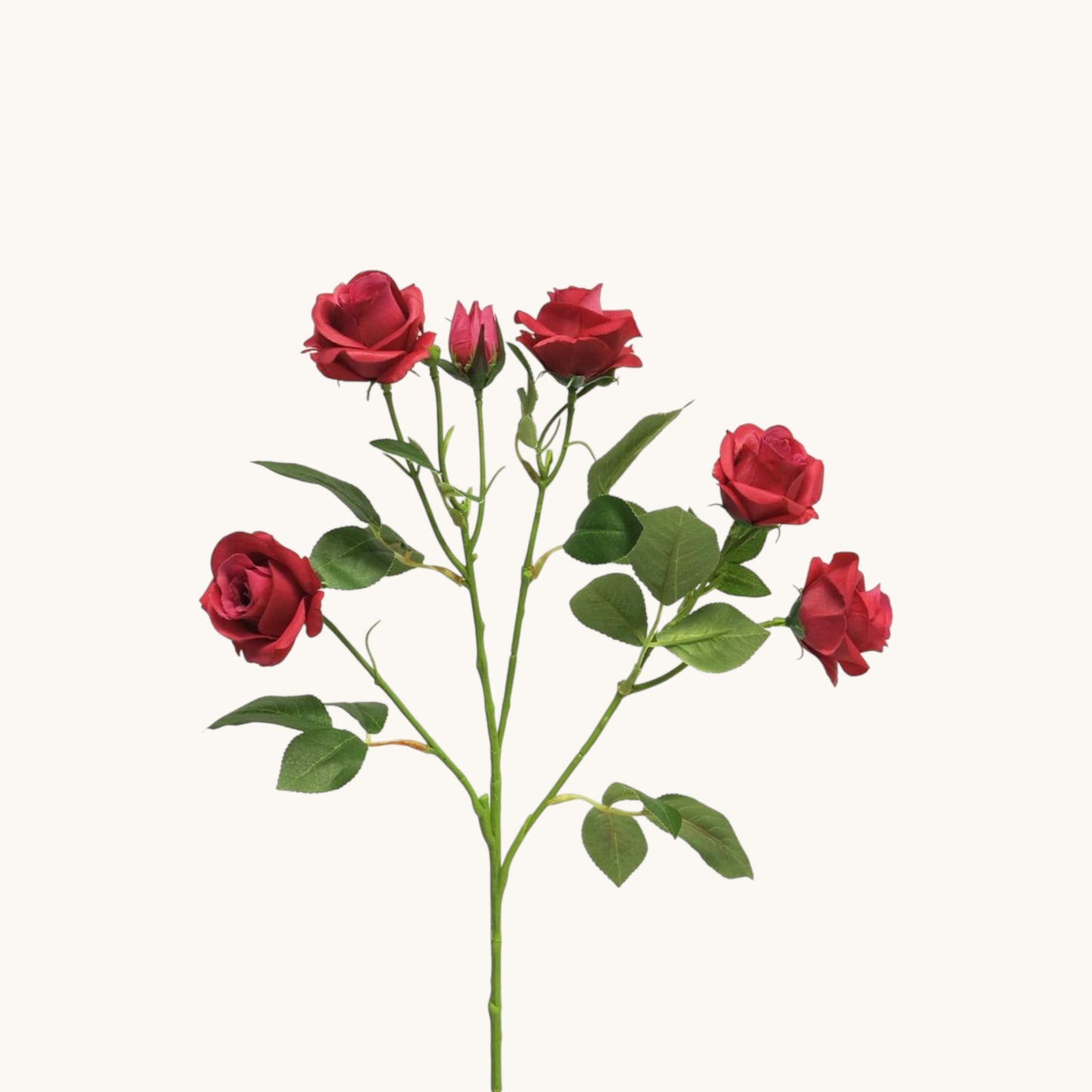 ROSA JACKY BUNCH 68 CM