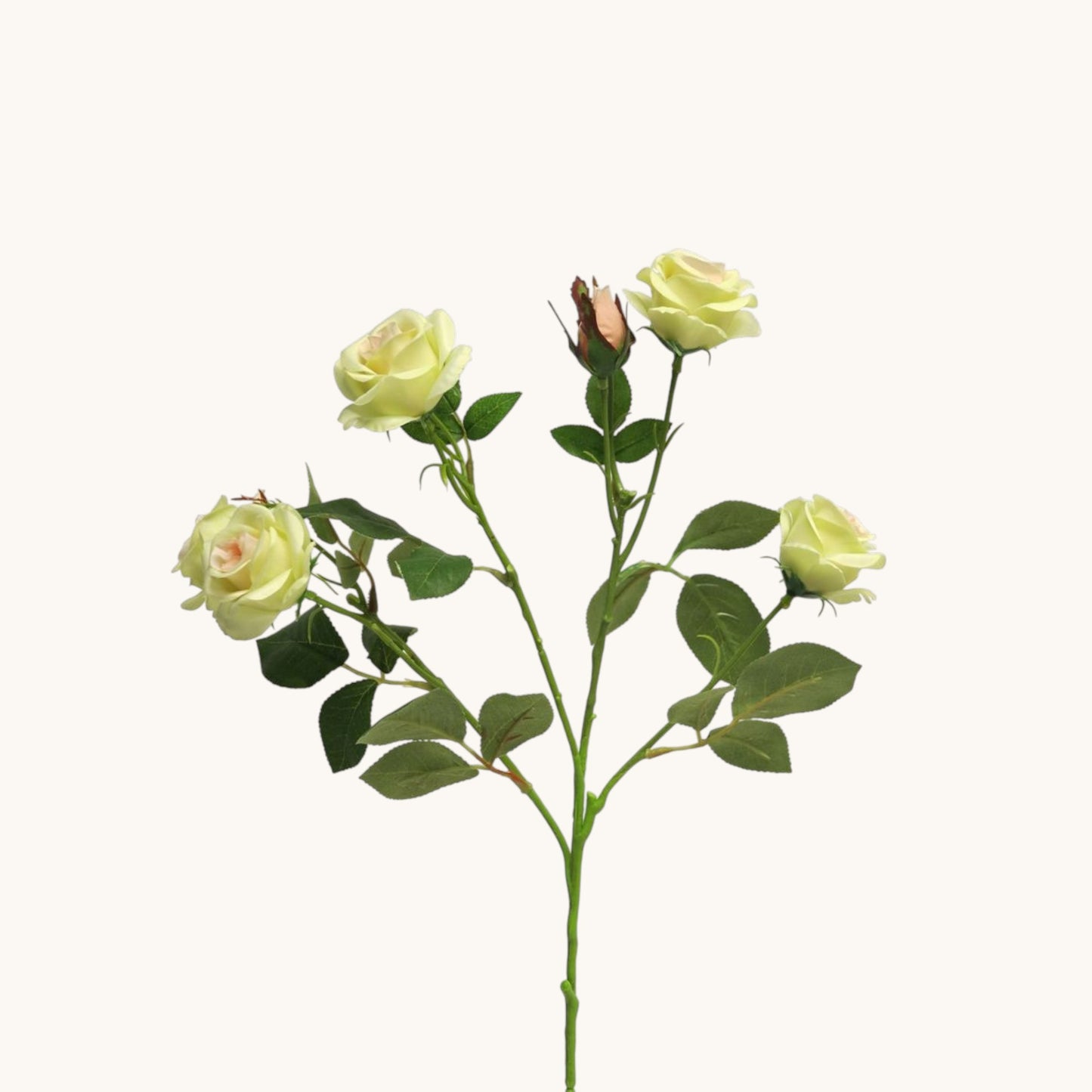 ROSA JACKY BUNCH 68 CM
