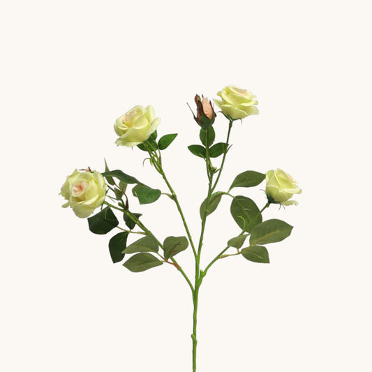 ROSA JACKY BUNCH 68 CM