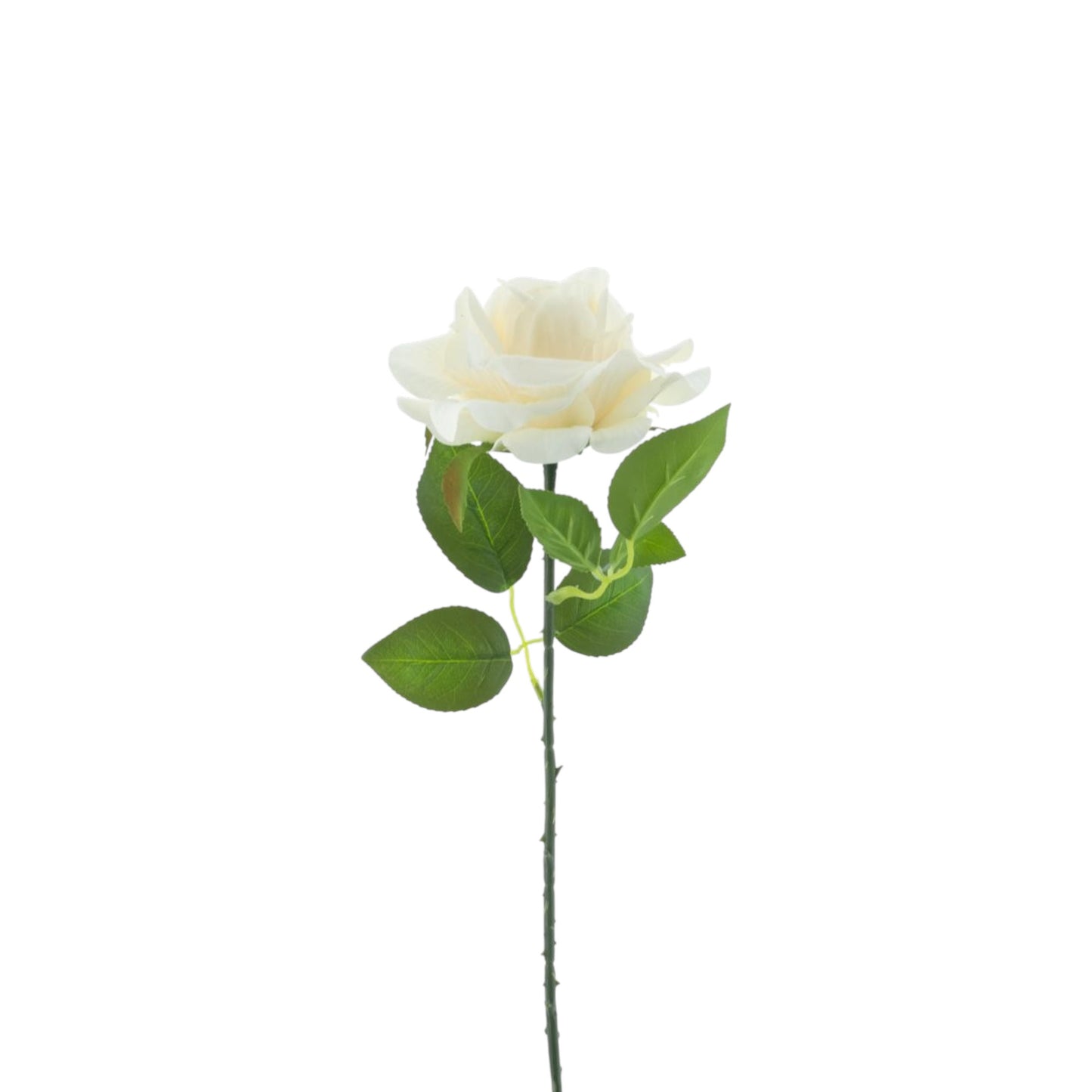 ROSE SPRAY BOSKO 50 CM