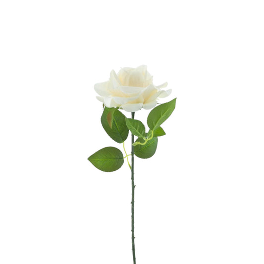 ROSE SPRAY BOSKO 50 CM