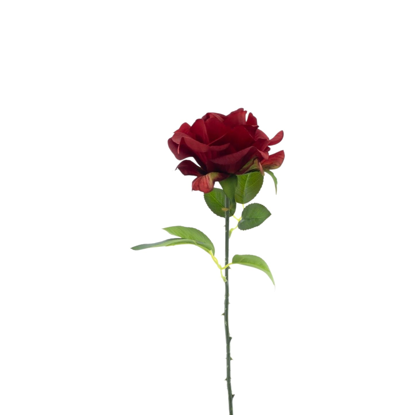 ROSE SPRAY BOSKO 50 CM
