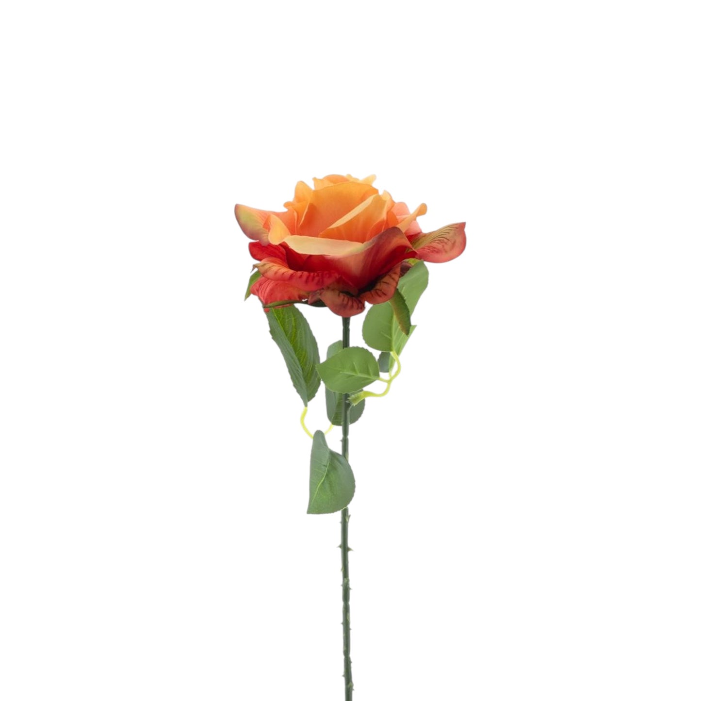 ROSE SPRAY BOSKO 50 CM