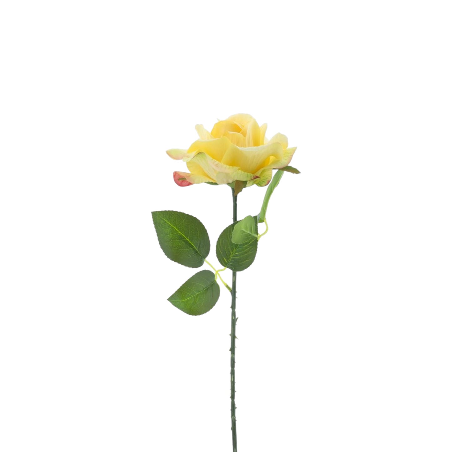 ROSE SPRAY BOSKO 50 CM