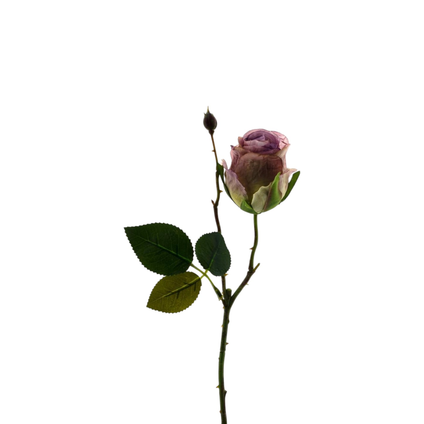 ROSE SPRAY SARA 45 CM