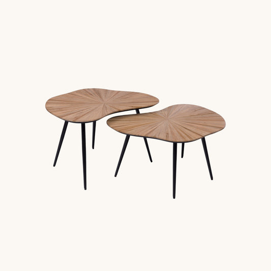 S2 TABLES ORGA CAMEL