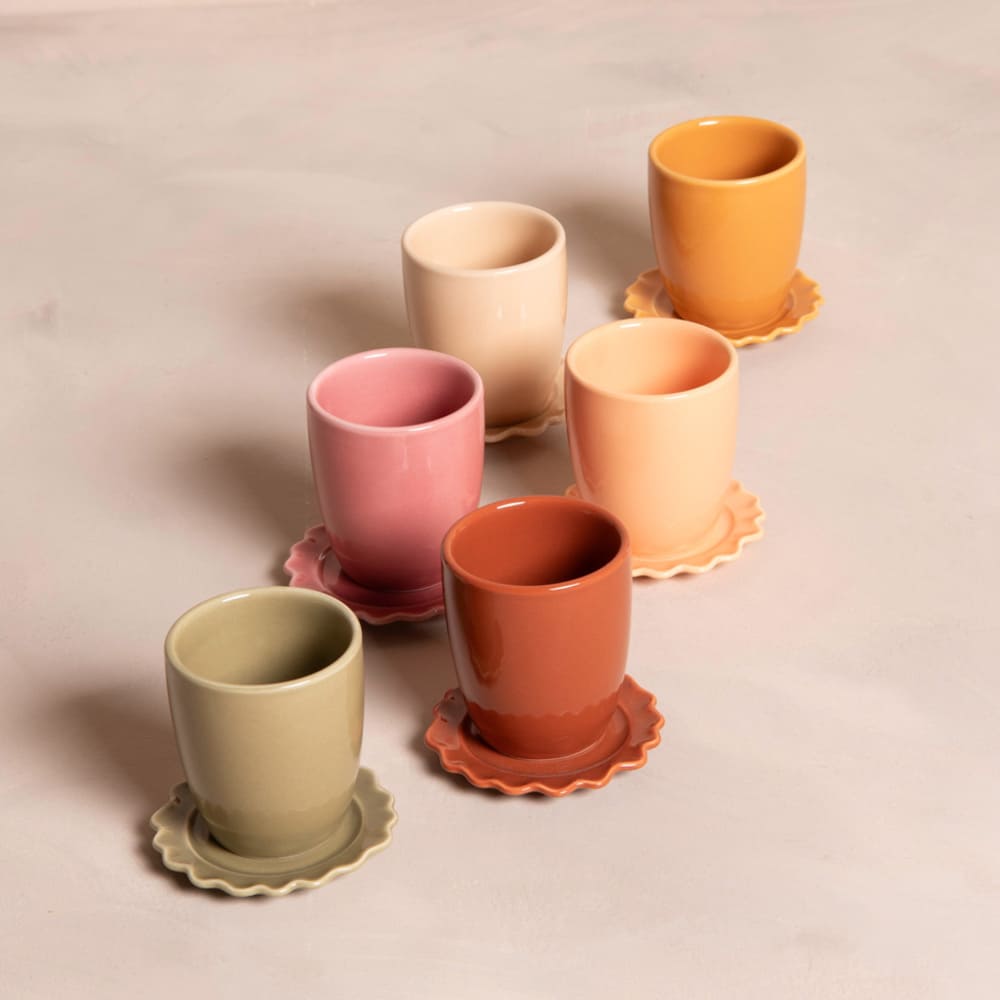 S6 CUPS AND SAUCERS AGRA 10 CL