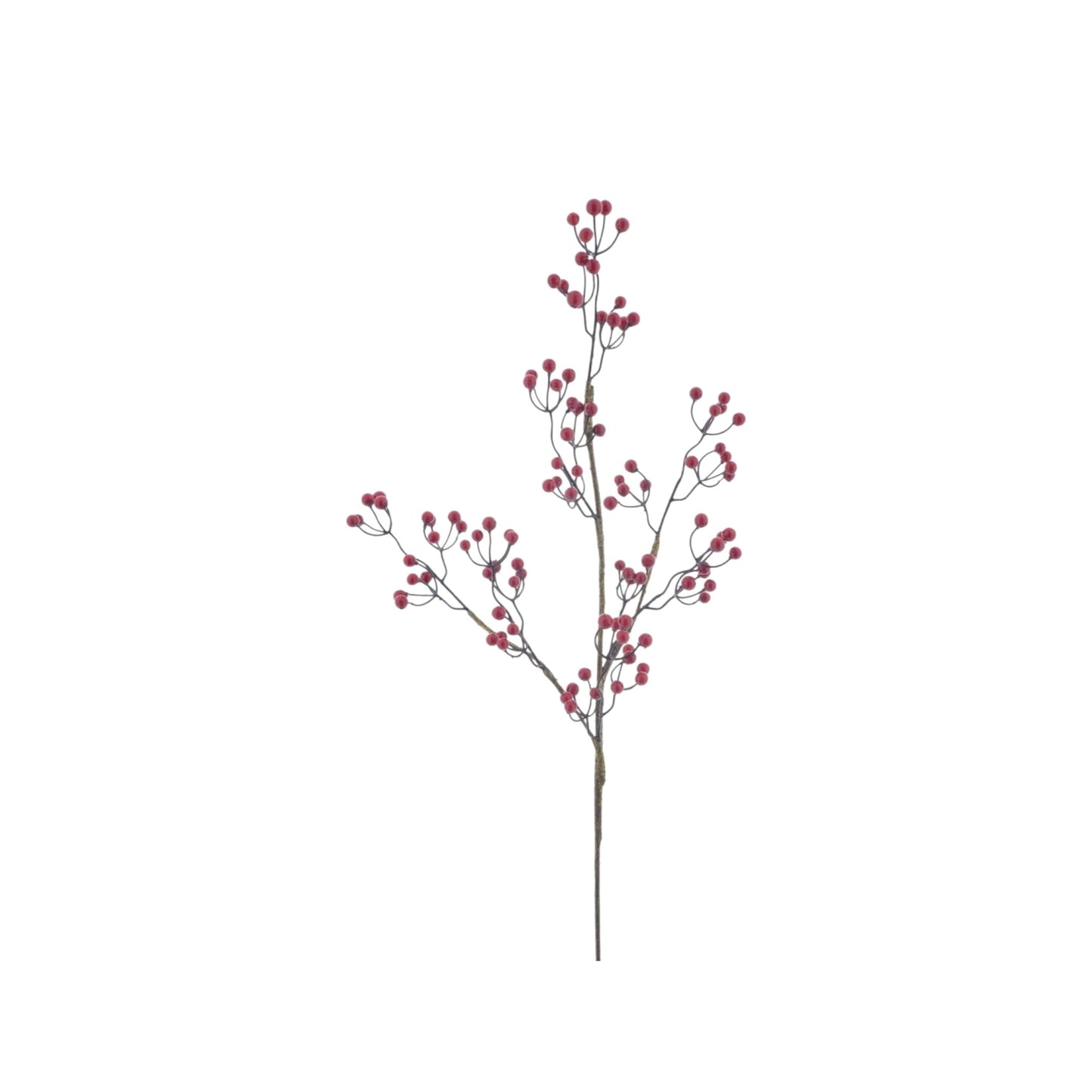 SWEET BERRY SPRAY SPECCHIA RED