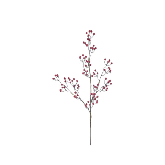 SWEET BERRY SPRAY SPECCHIA RED
