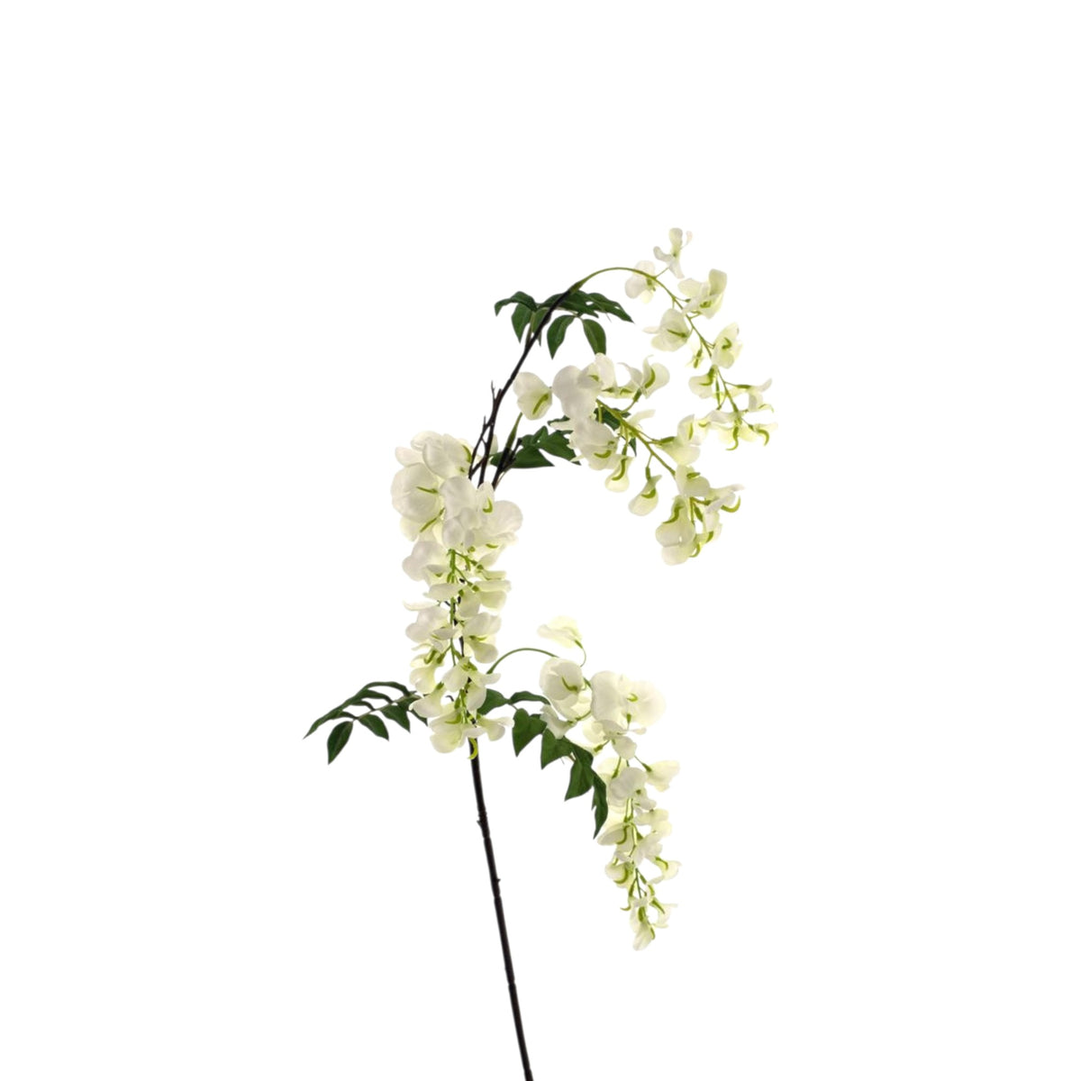 SWEET PEA SPRAY MICK 92 CM