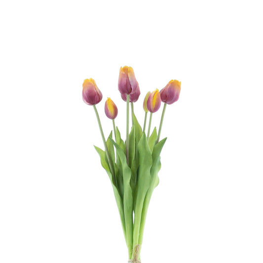 TULIP BUNDLE SALLY