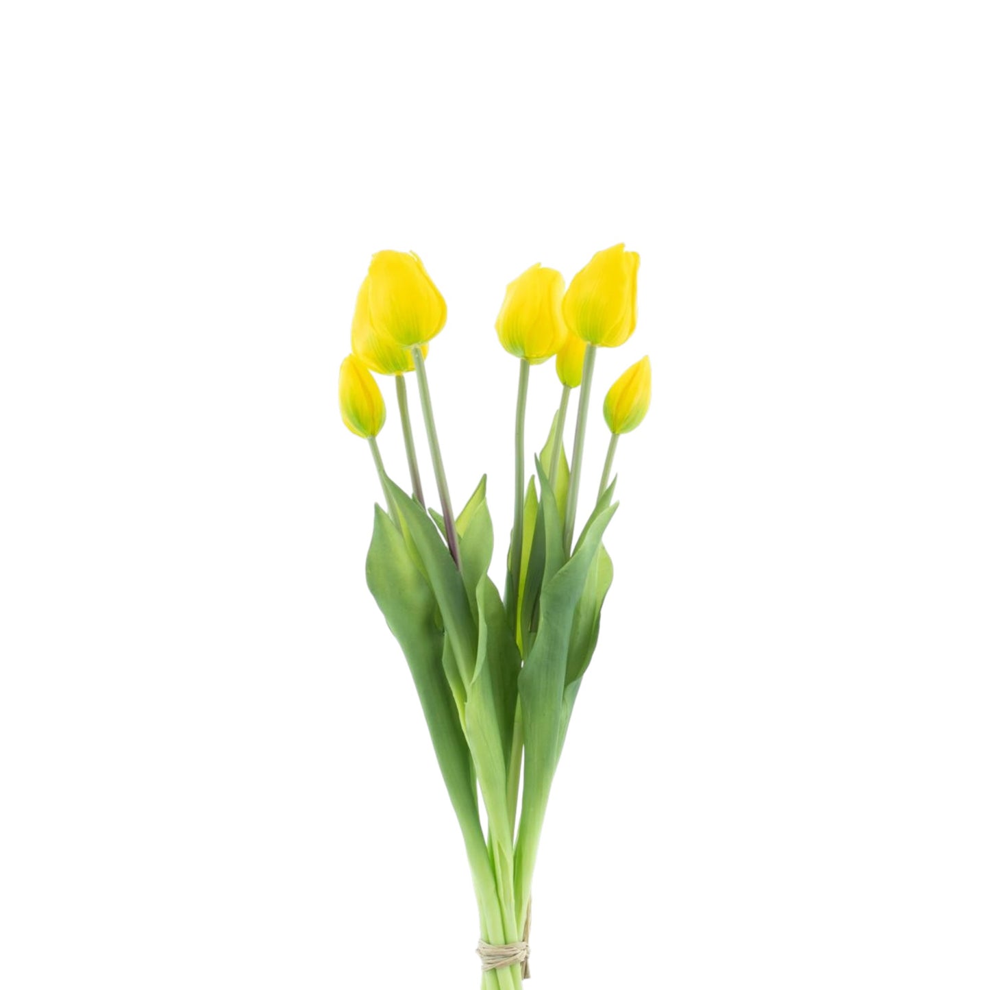 TULIP BUNDLE SALLY